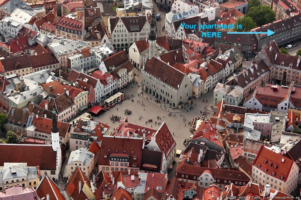 Luftaufnahme der Dächer der Tallinner Altstadt rund um den Rathausplatz